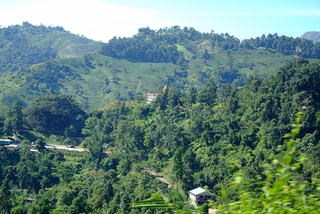 dscf8784.jpg - Eine der schönsten Bergstraßen der Welt führt aus der heißen nordindischen Ebene von NJP hinauf zur "Königin der Hillstations", nach Darjeeling, das, umgeben von Teegärten, 2100m hoch an steile Hänge gebaut ist.