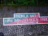 3.2 Darjeeling Padmaja Naidu