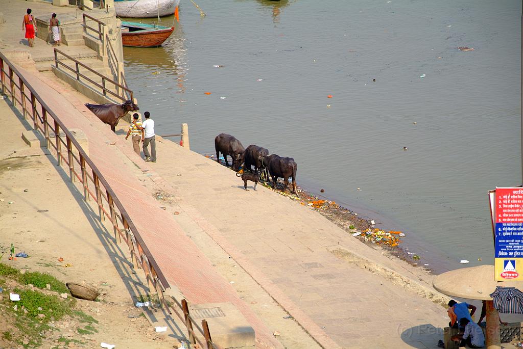 dscf8367.jpg