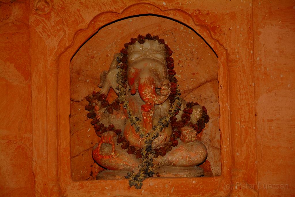 dscf8442.jpg