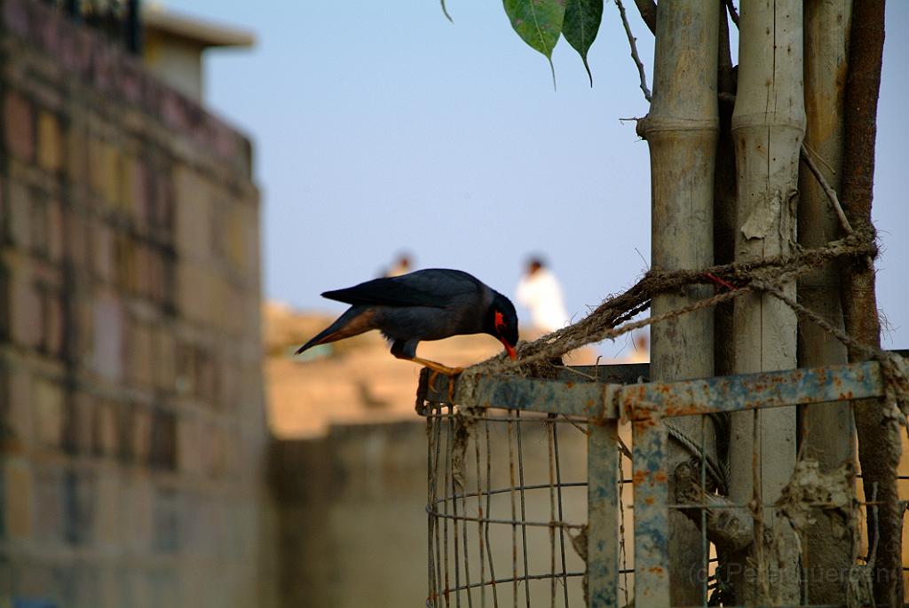 dscf8475.jpg