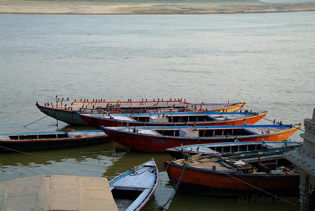 dscf8533.jpg