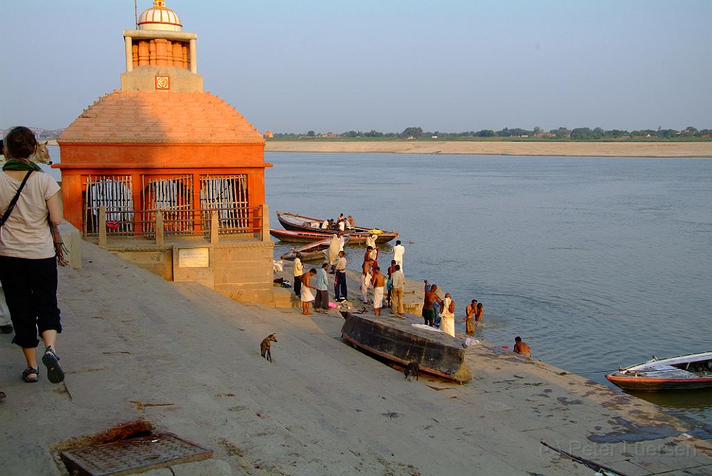 dscf8534.jpg