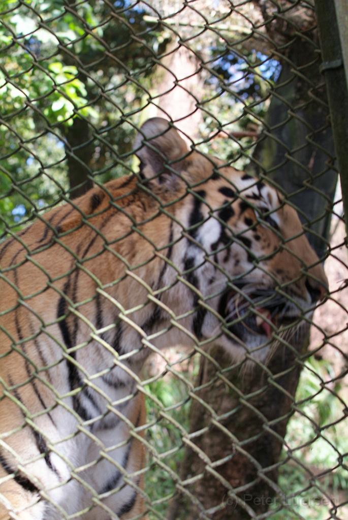 dscf8914.jpg