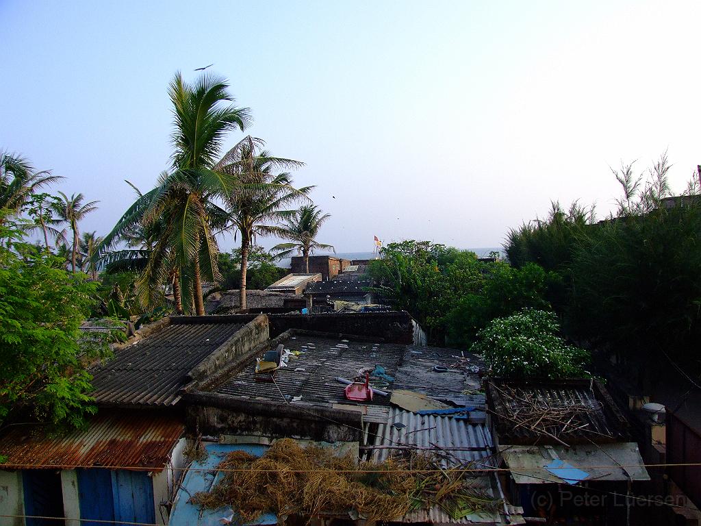 dscf6184.jpg