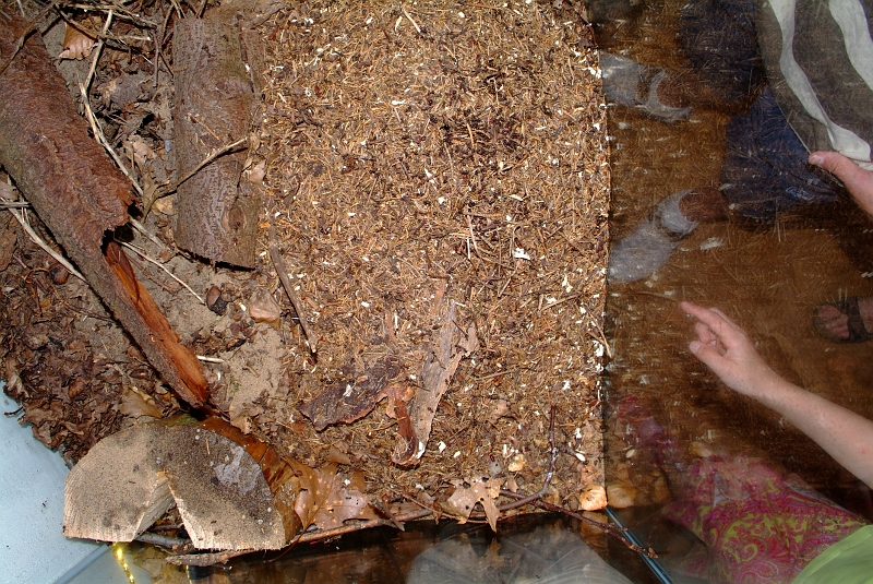 dscf0292.jpg