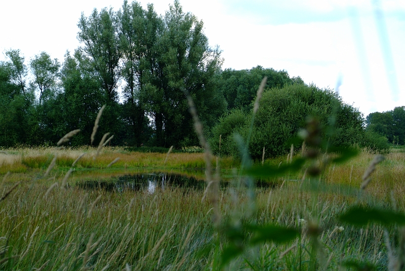 dscf0297.jpg