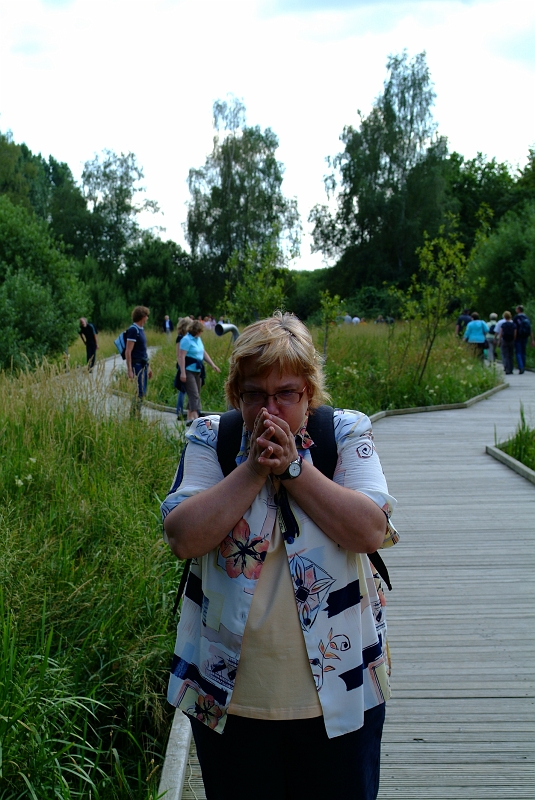dscf0304.jpg