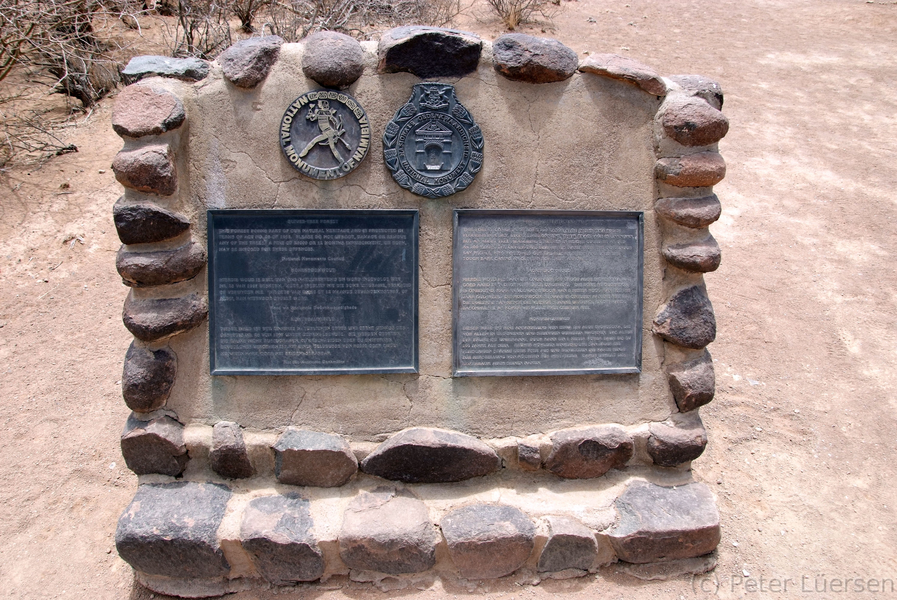 DSCF1874.jpg - Der Köcherbaumwald (Afrikaans: Kokerboom Woud) wurde 1955 zum Nationalen Denkmal erklärt.