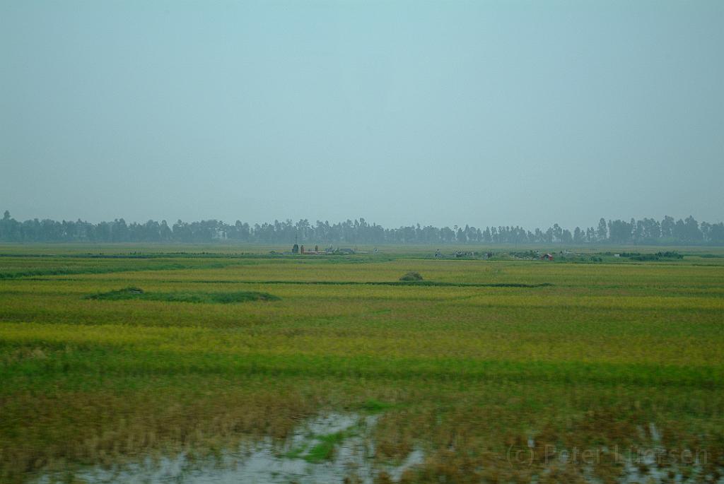 dscf1655.jpg