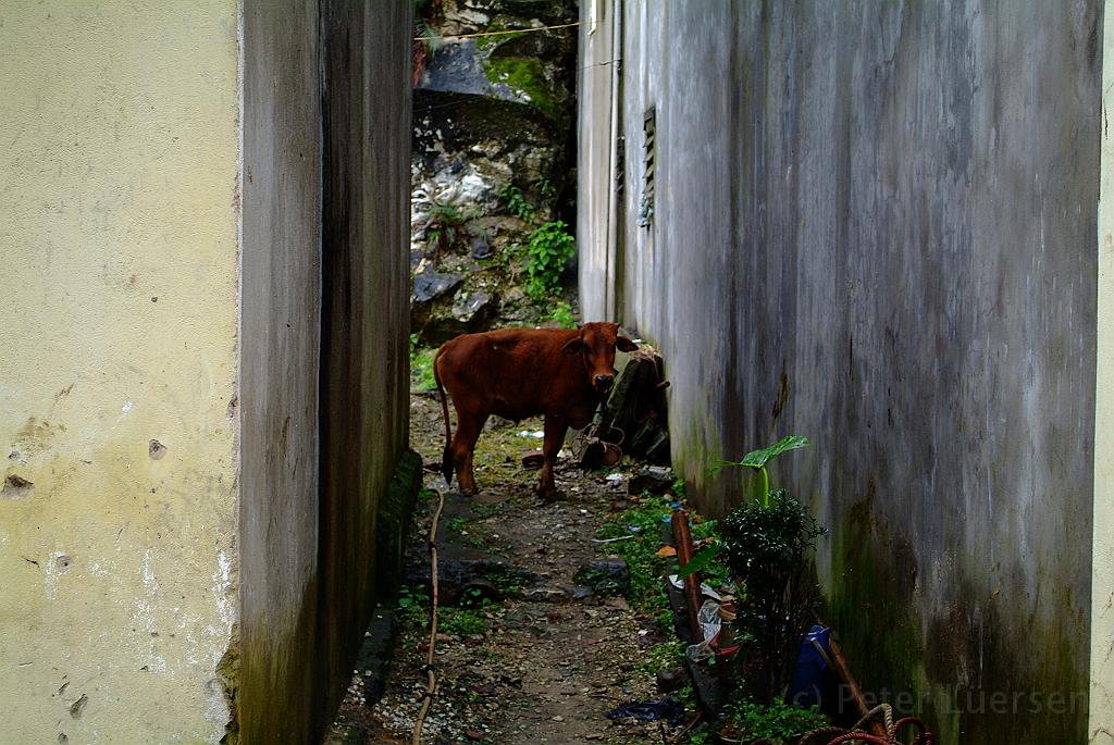 dscf1773.jpg - Wir brechen auf zu einer ersten Wanderung