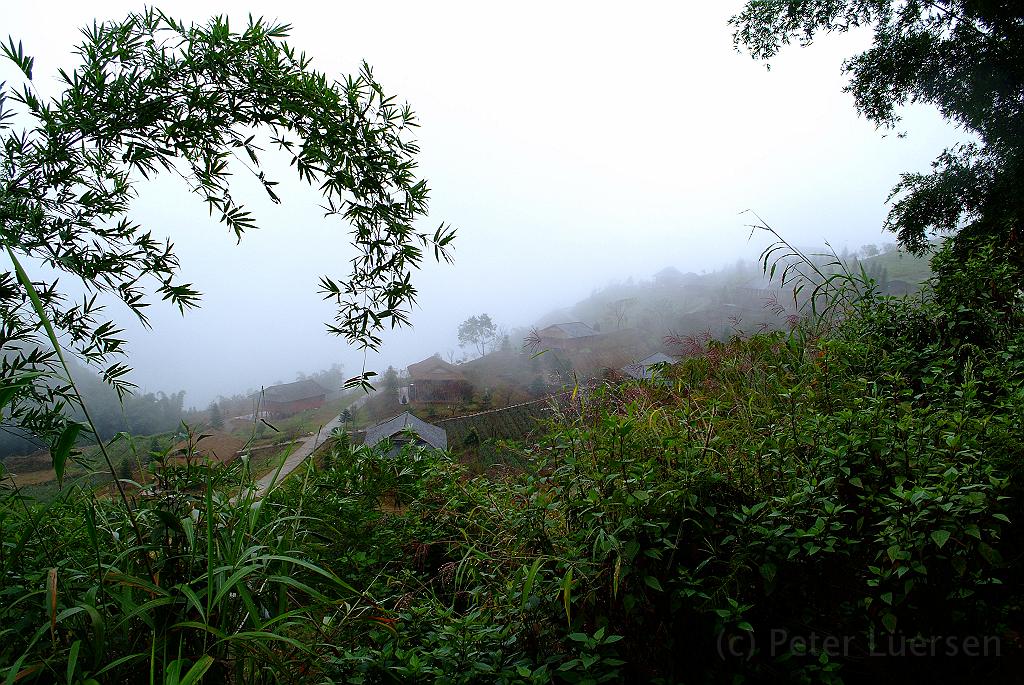 dscf1835.jpg - Das Wetter ist noch nicht besser. Es ist recht feucht.