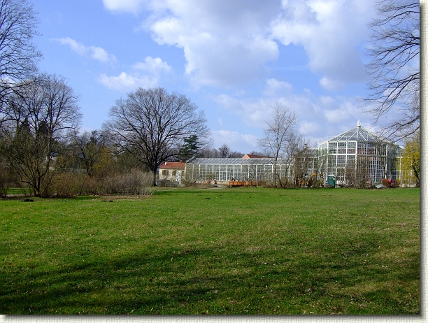 dscf1479.jpg - Palmenhaus