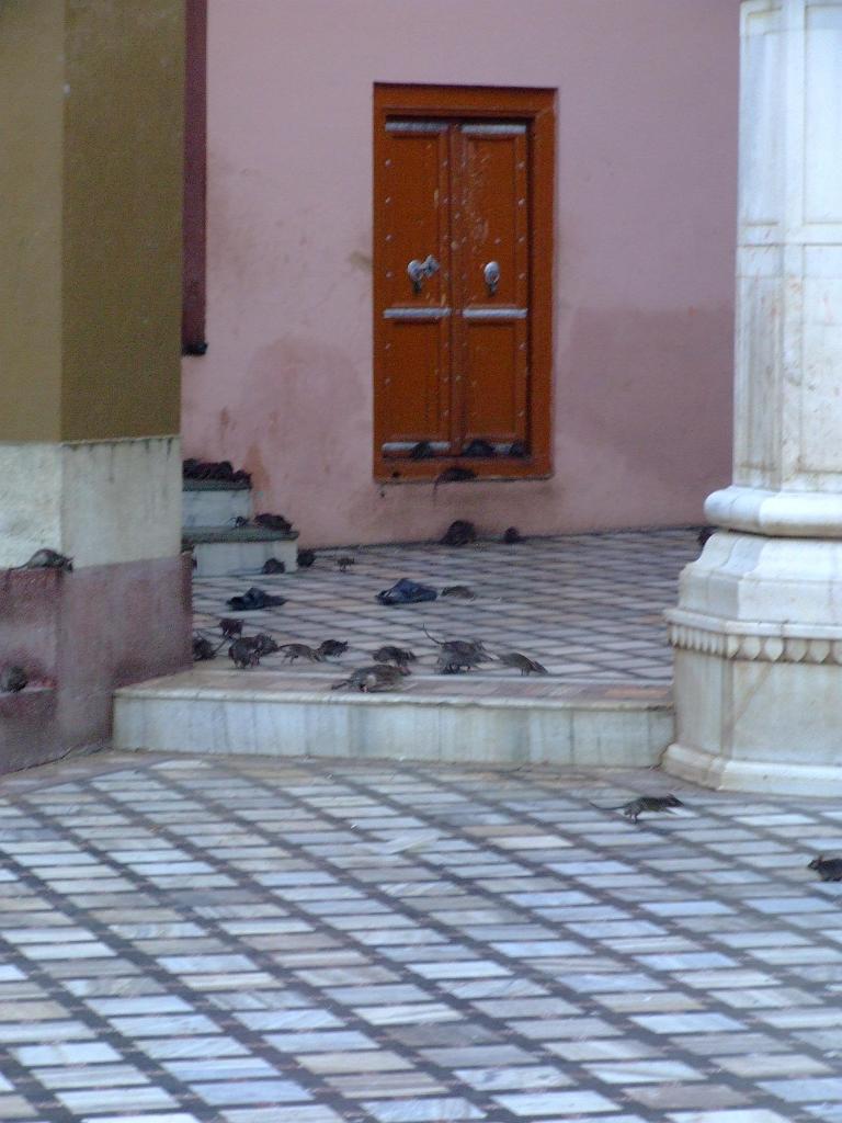 DSCF0095.JPG