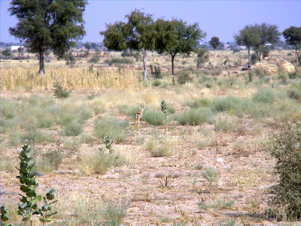 DSCF0133.jpg