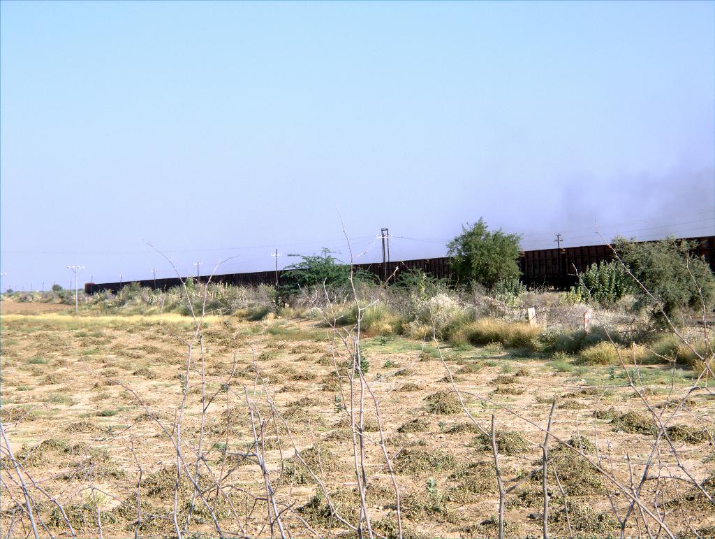 DSCF0139.jpg