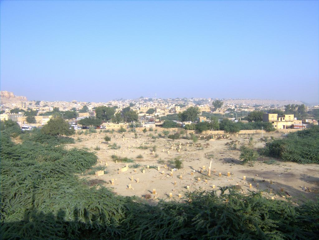 DSCF0168.jpg