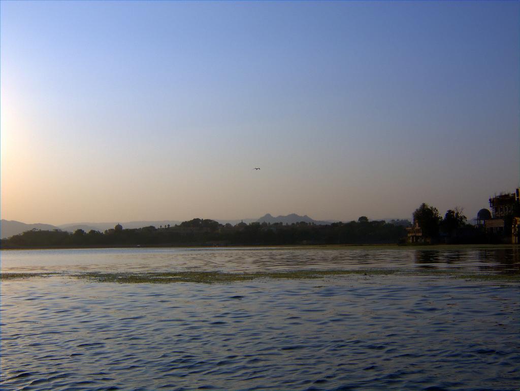 DSCF0452.jpg