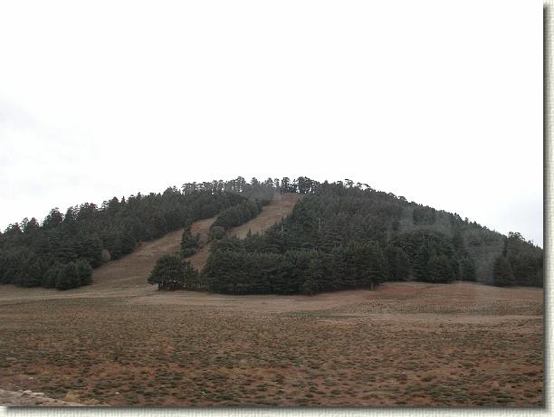 Nächstes Bild