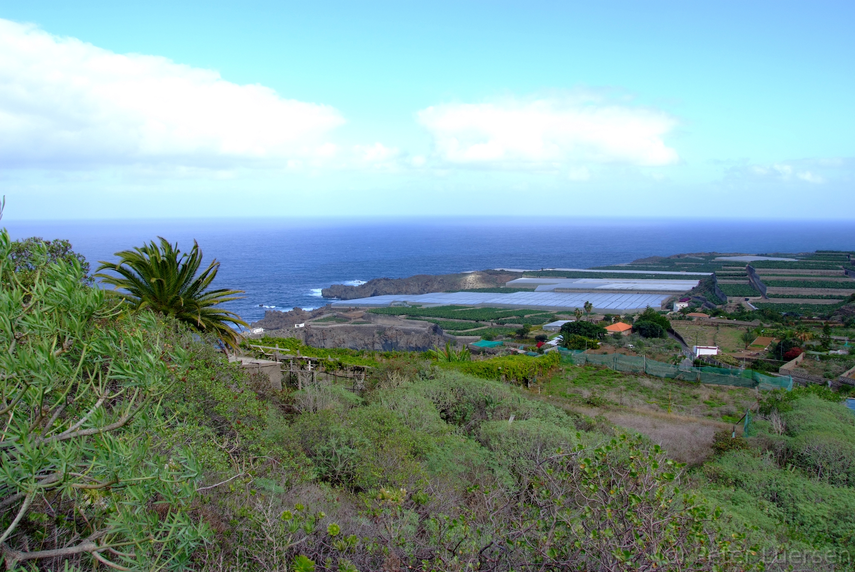 DSCF5066.JPG