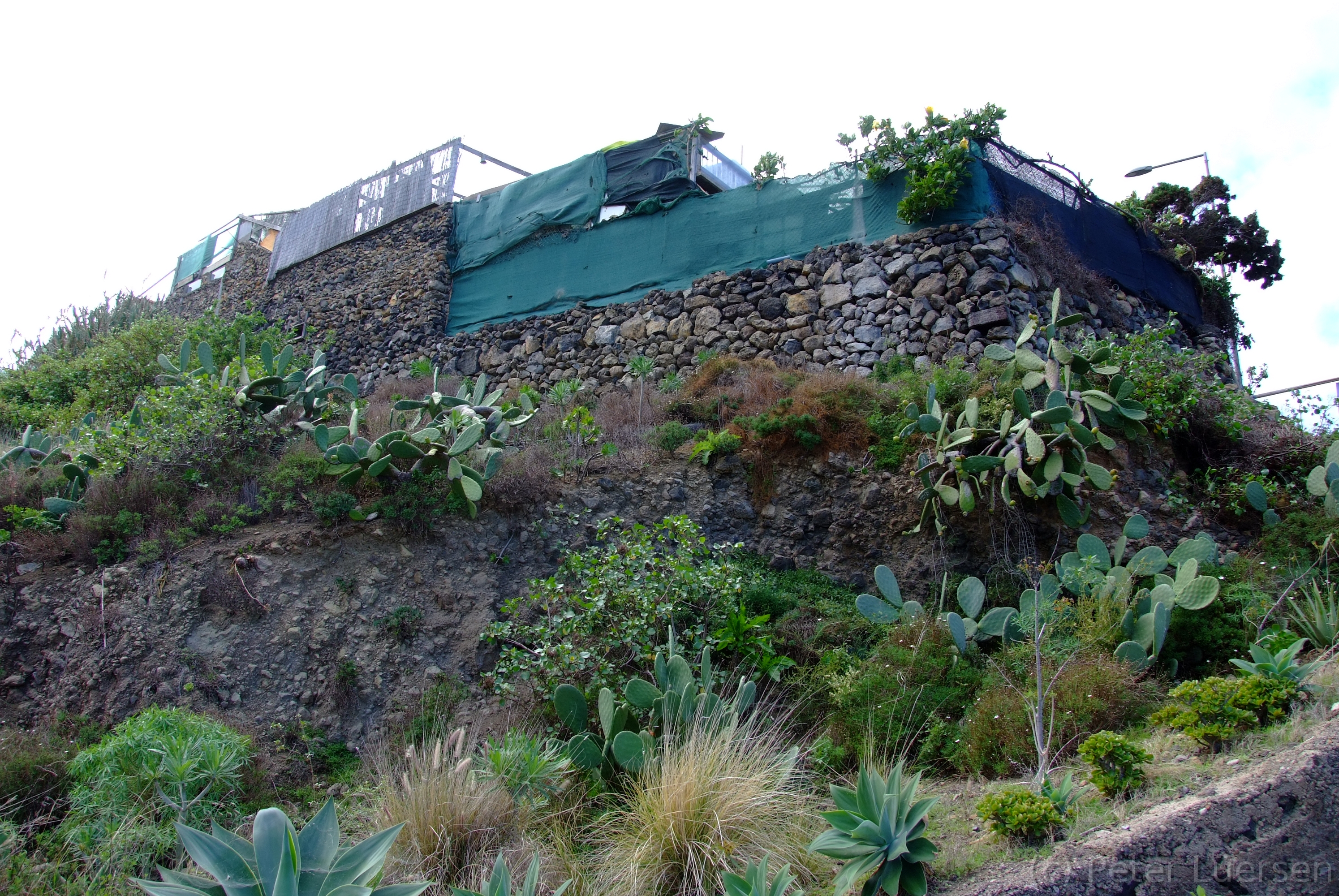 DSCF5069.JPG