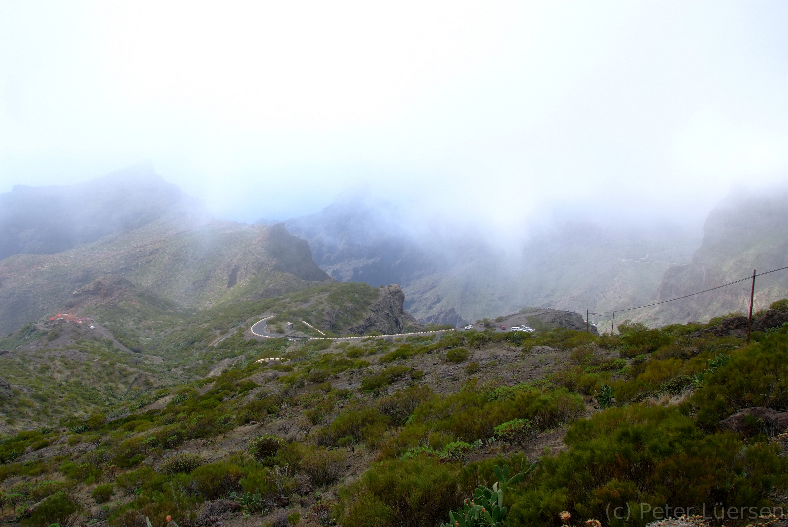 DSCF5076.JPG