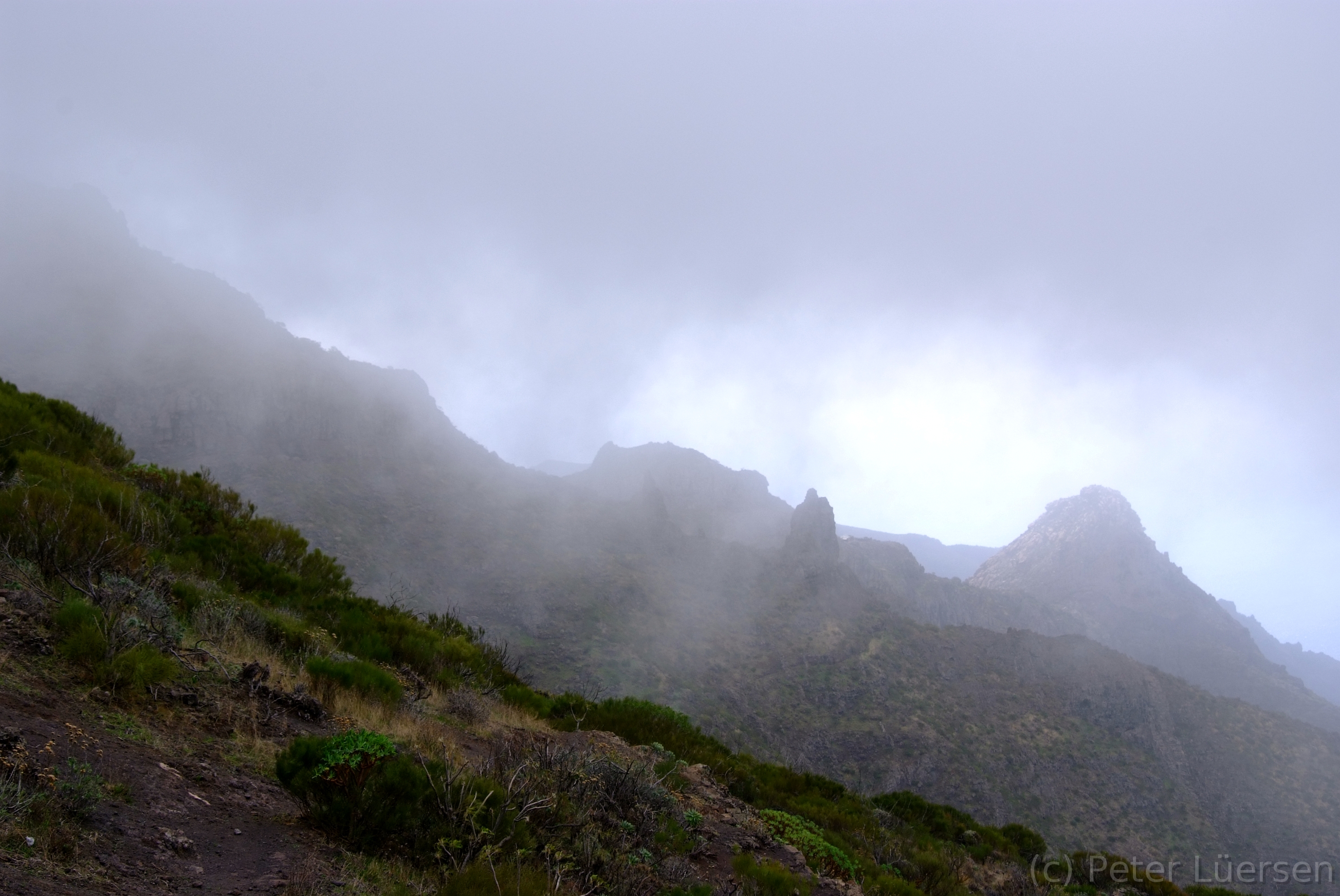 DSCF5082.JPG