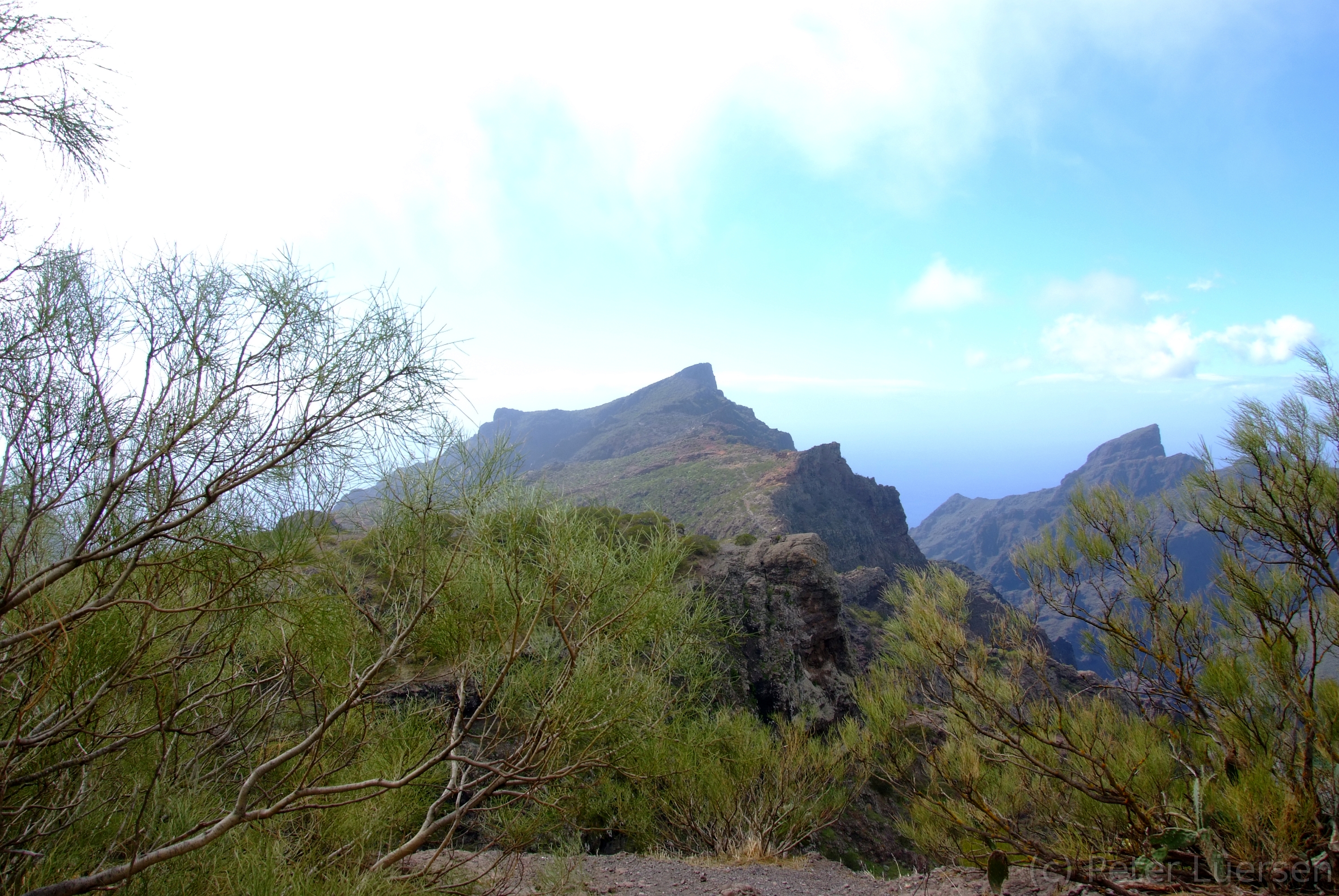 DSCF5094.JPG