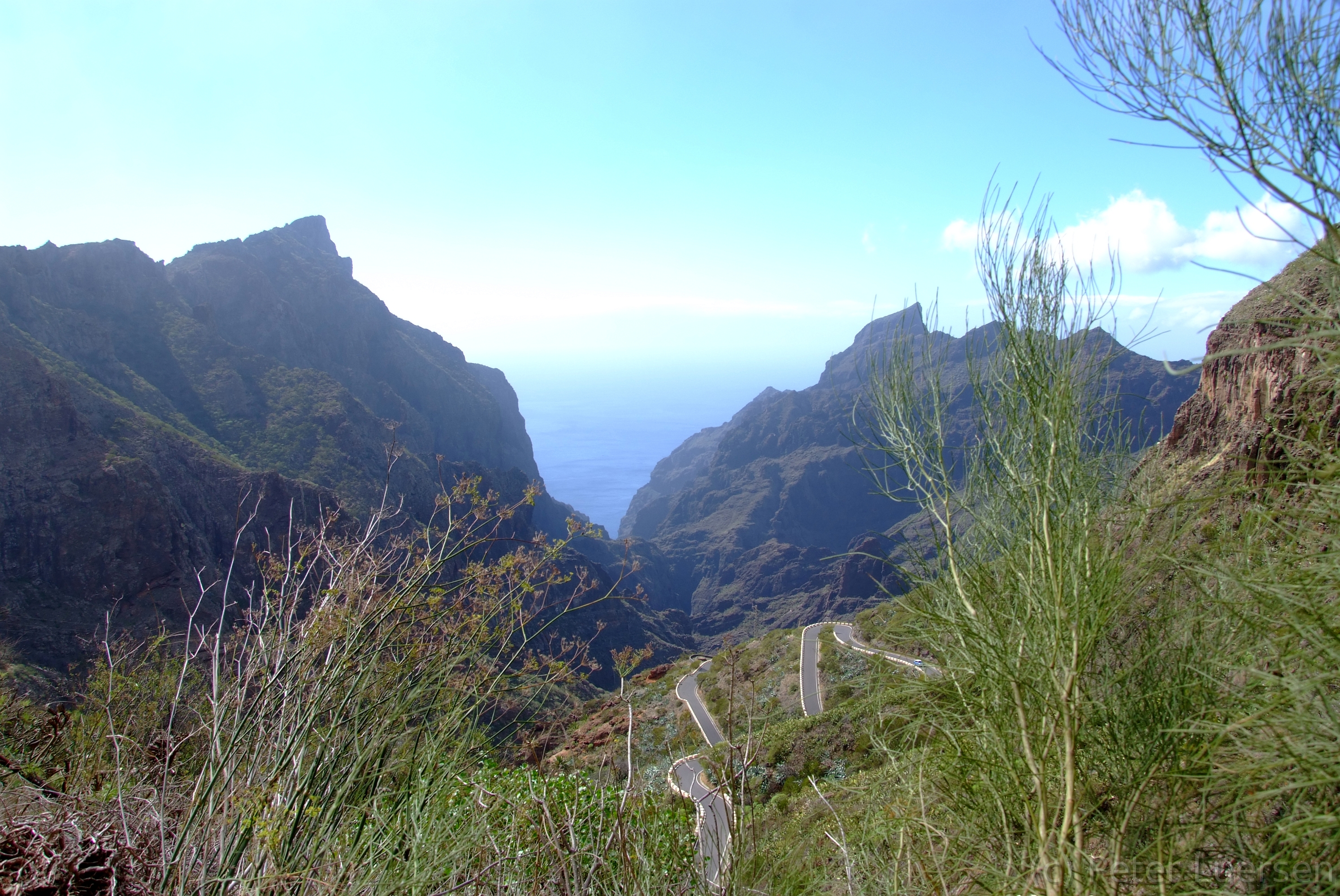 DSCF5099.JPG