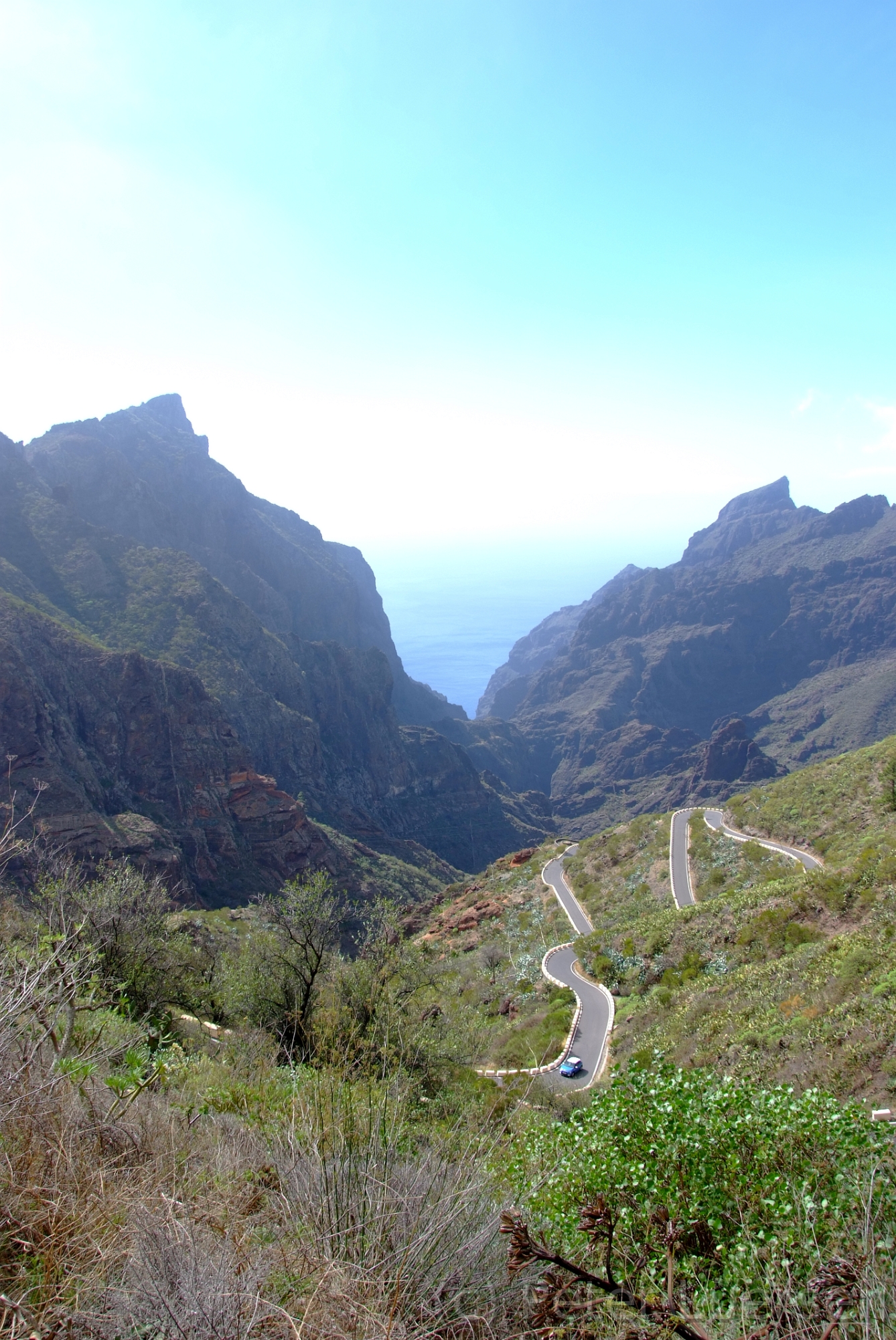 DSCF5100.JPG