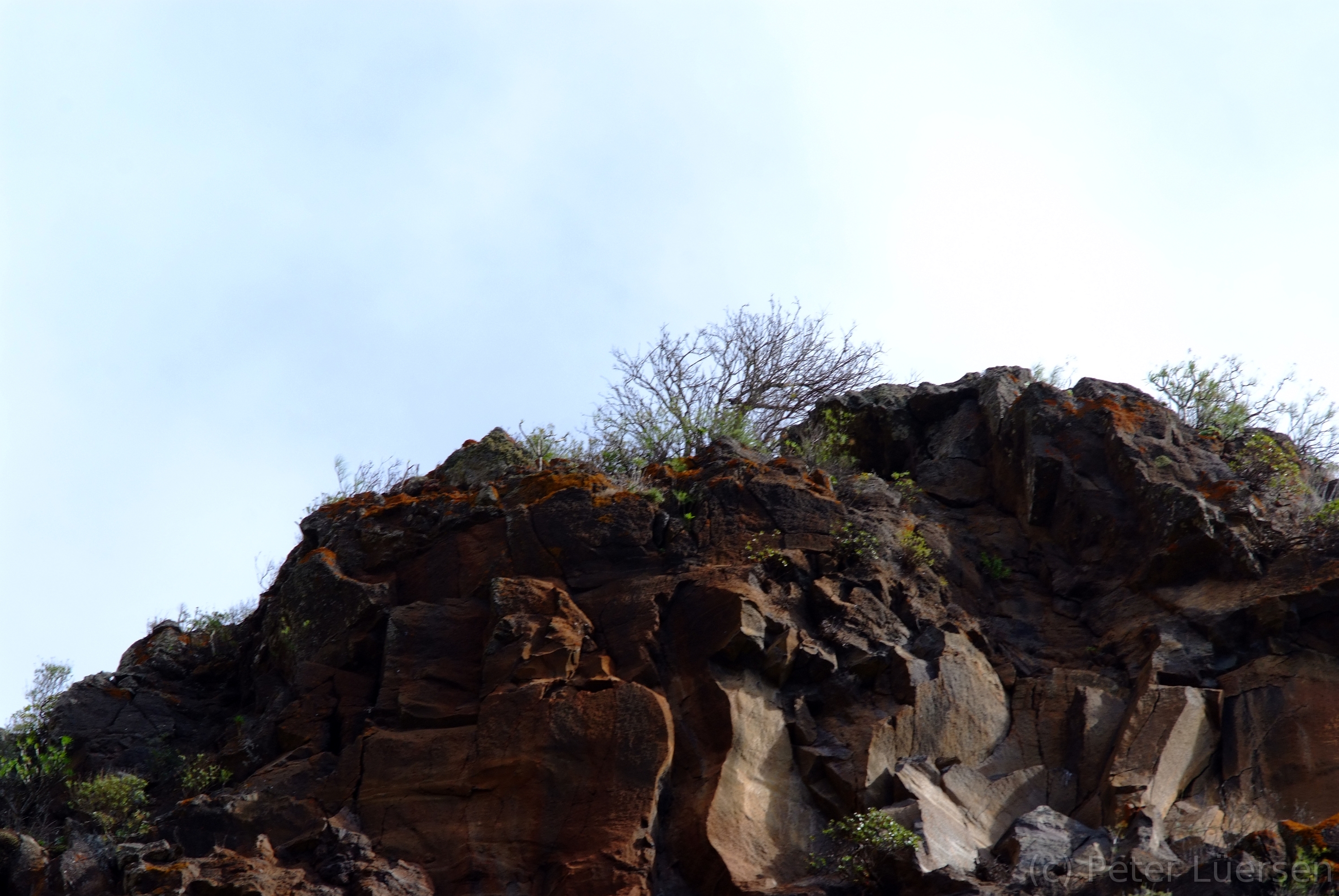 DSCF5111.JPG