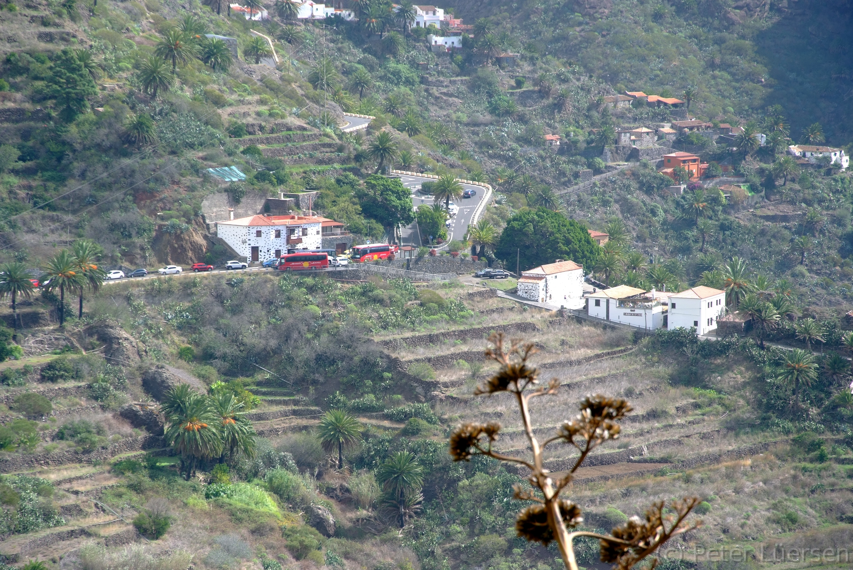 DSCF5114.JPG
