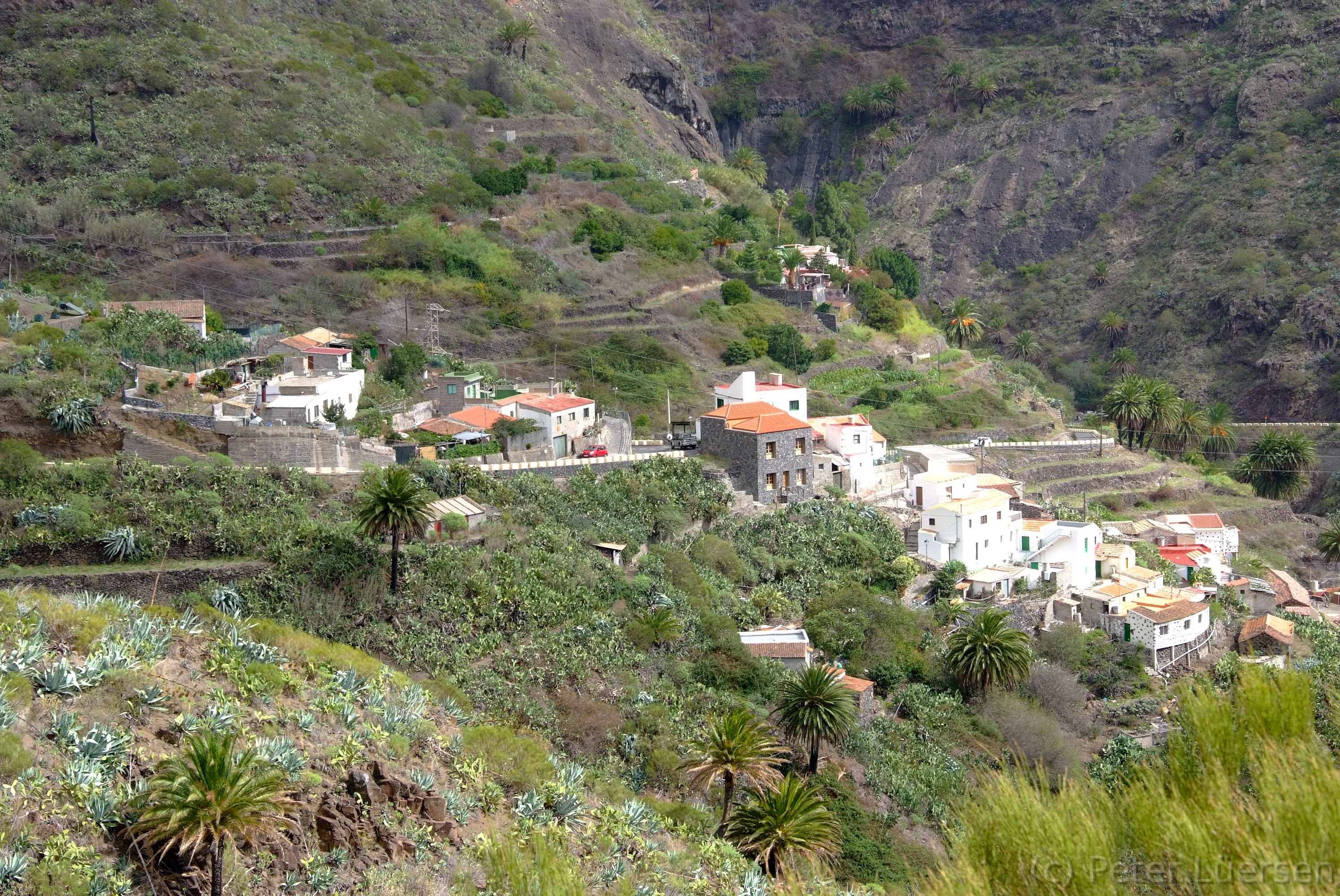 DSCF5115.JPG