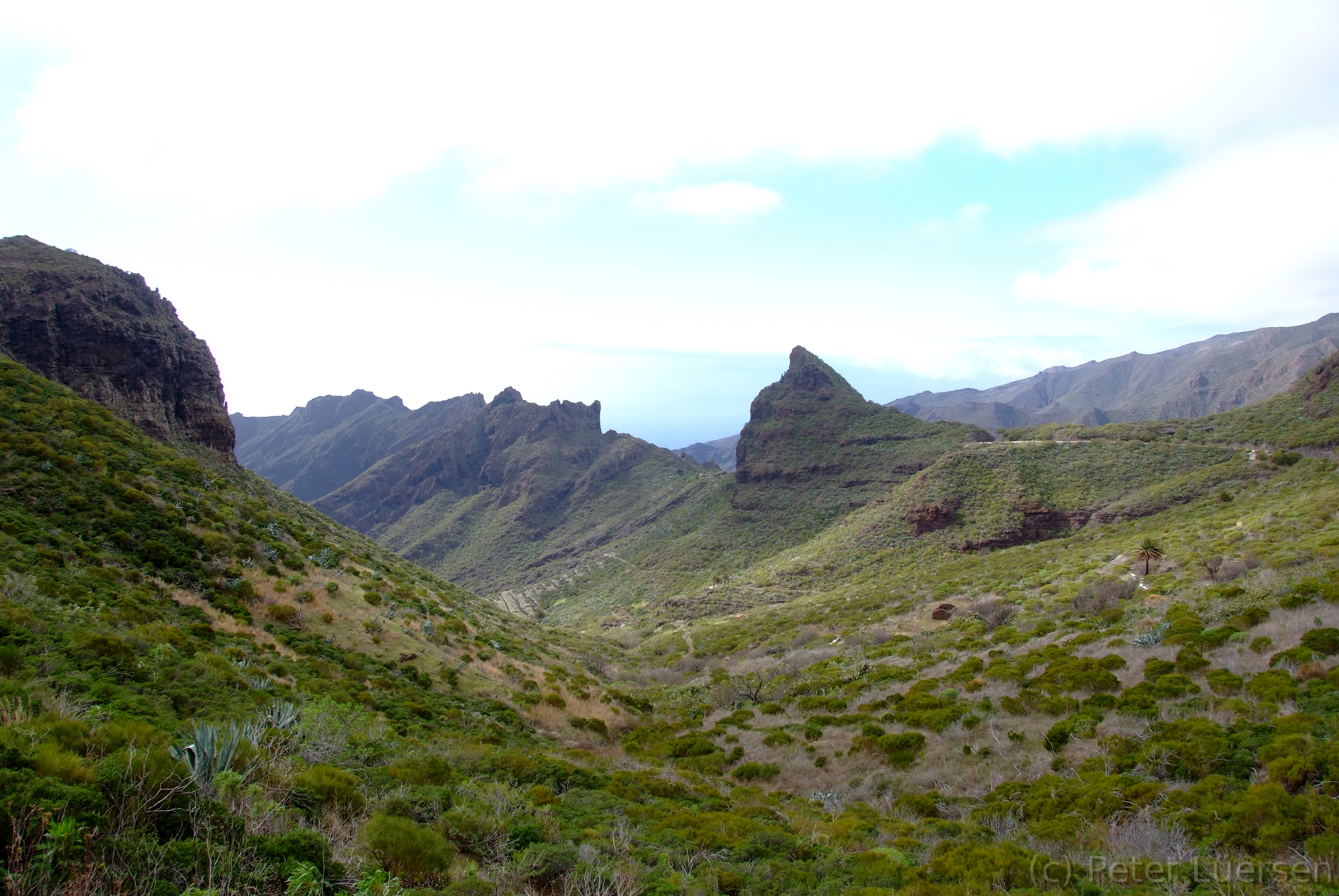 DSCF5121.JPG