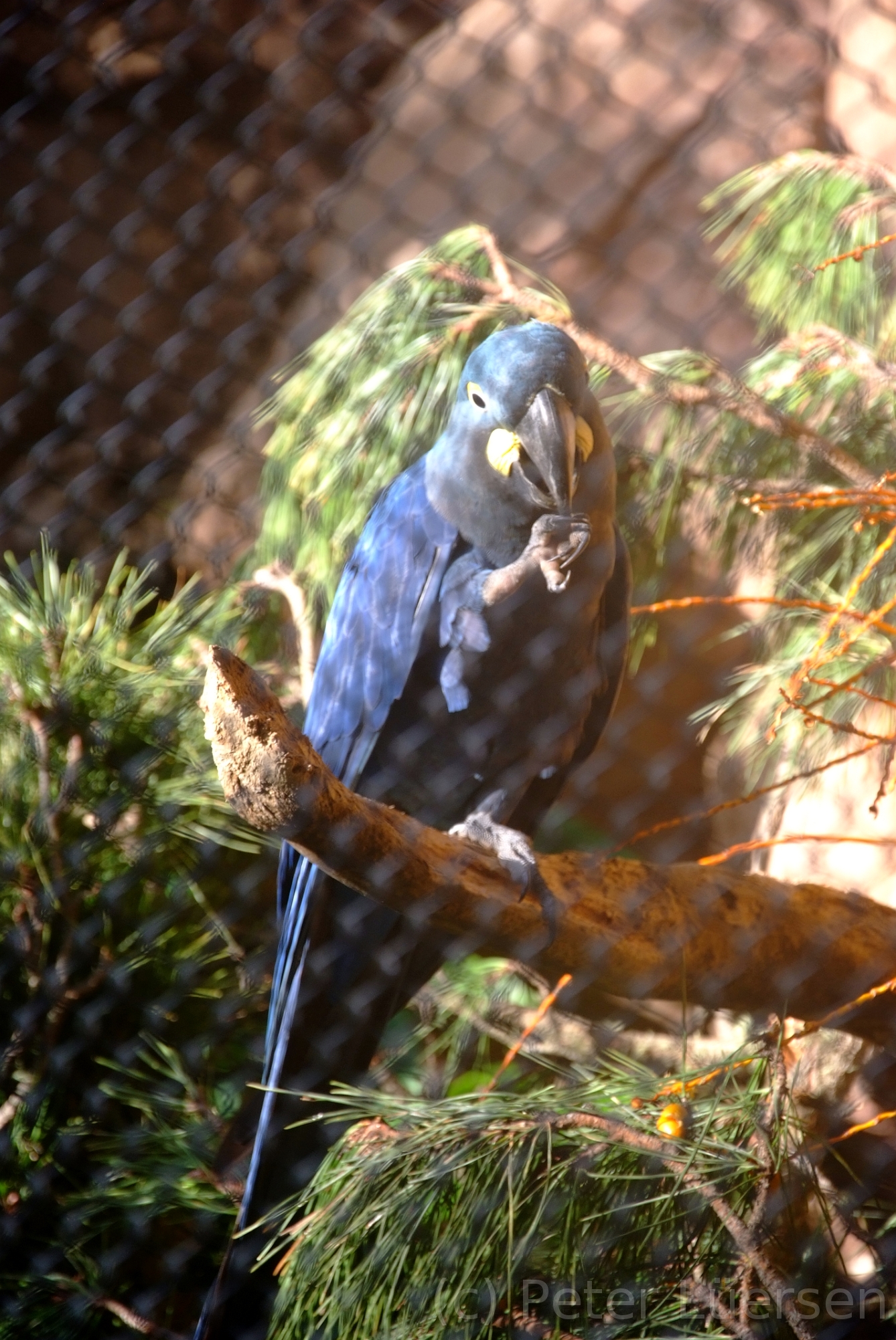DSCF5679.JPG