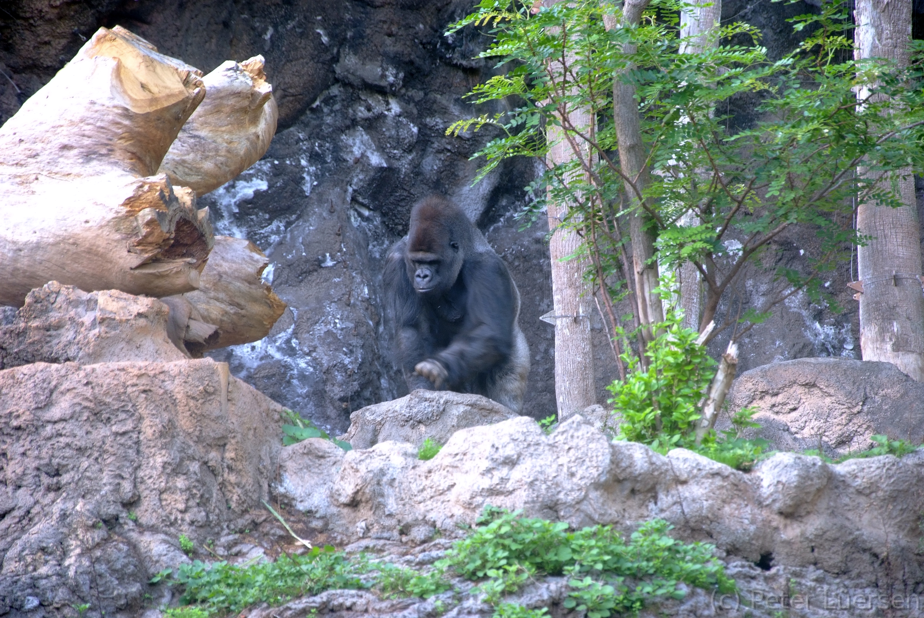 DSCF5682.JPG
