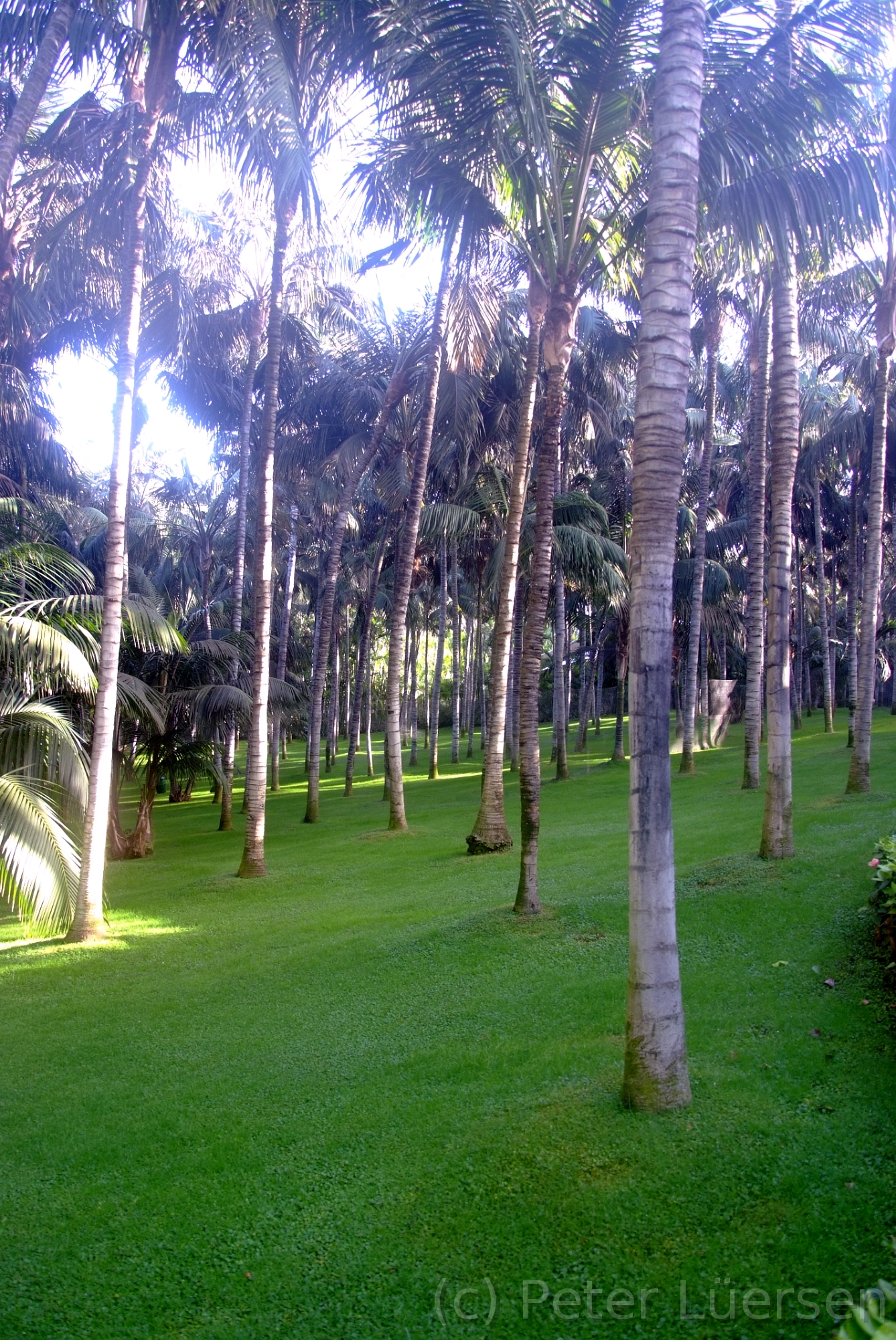 DSCF5683.JPG