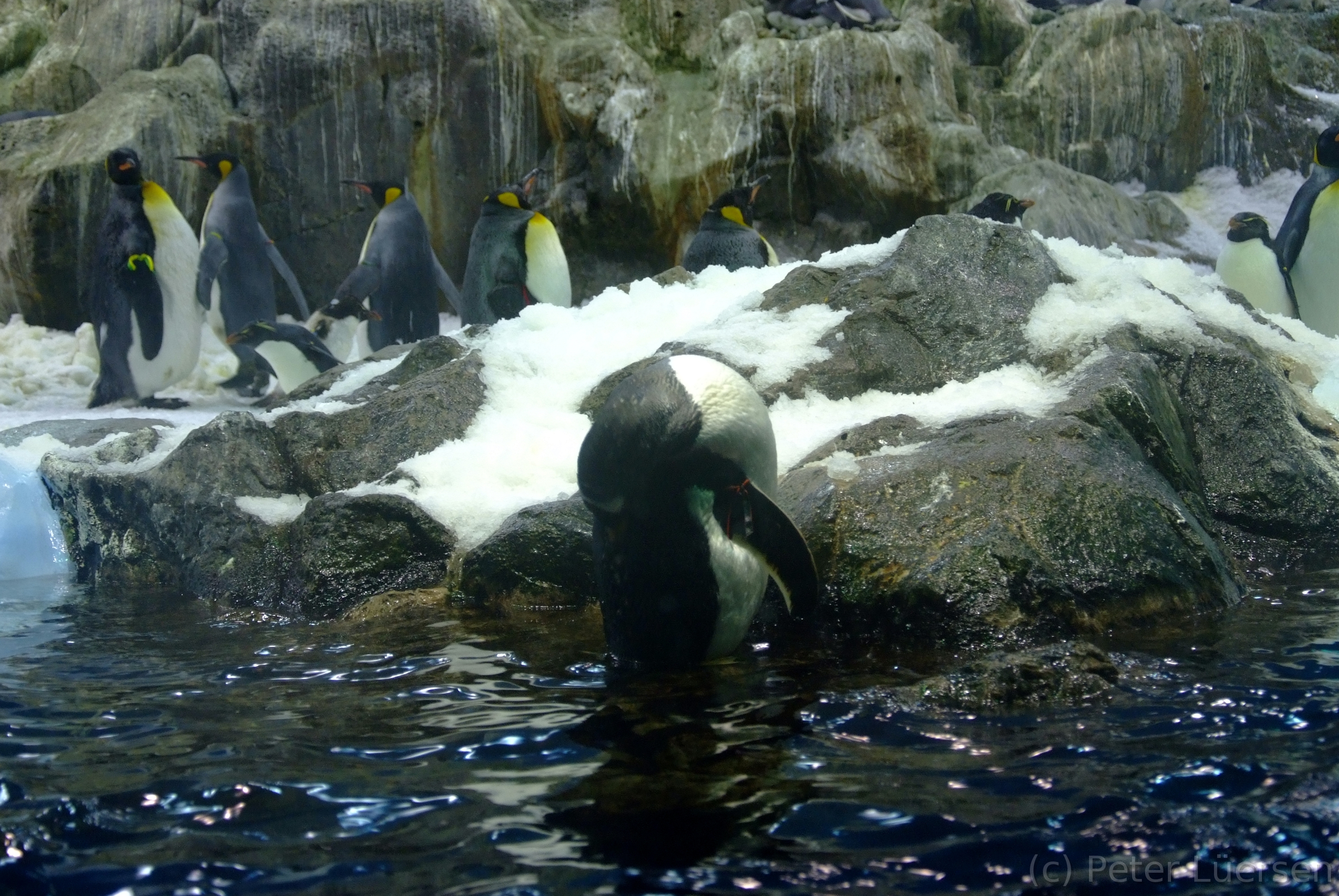 DSCF5700.JPG