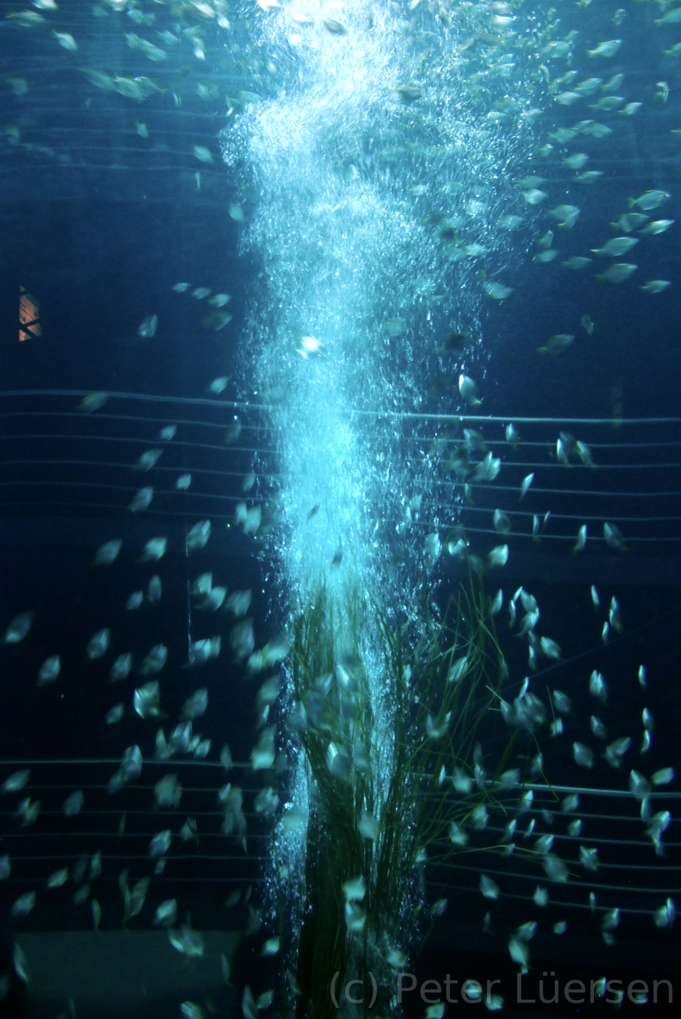 DSCF5711.JPG