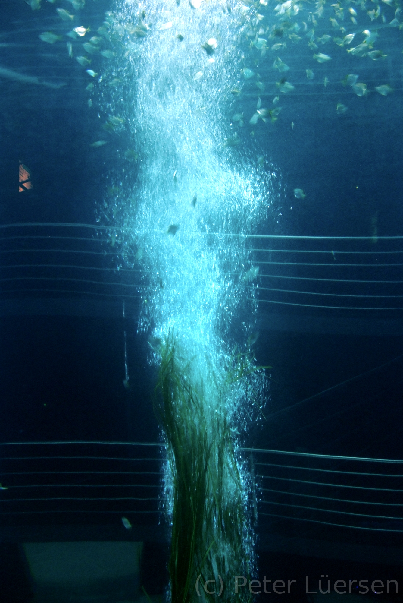 DSCF5713.JPG