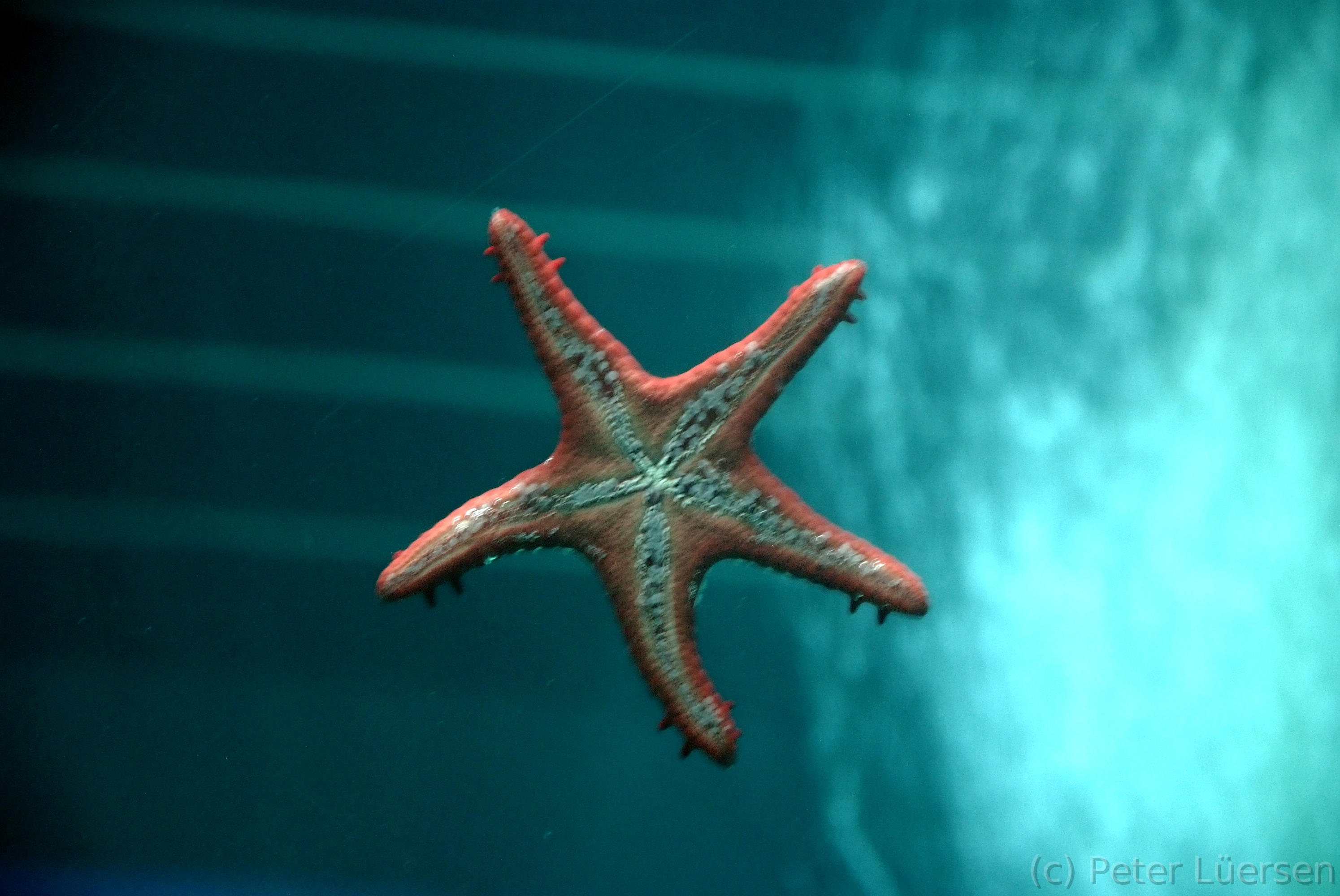 DSCF5715.JPG