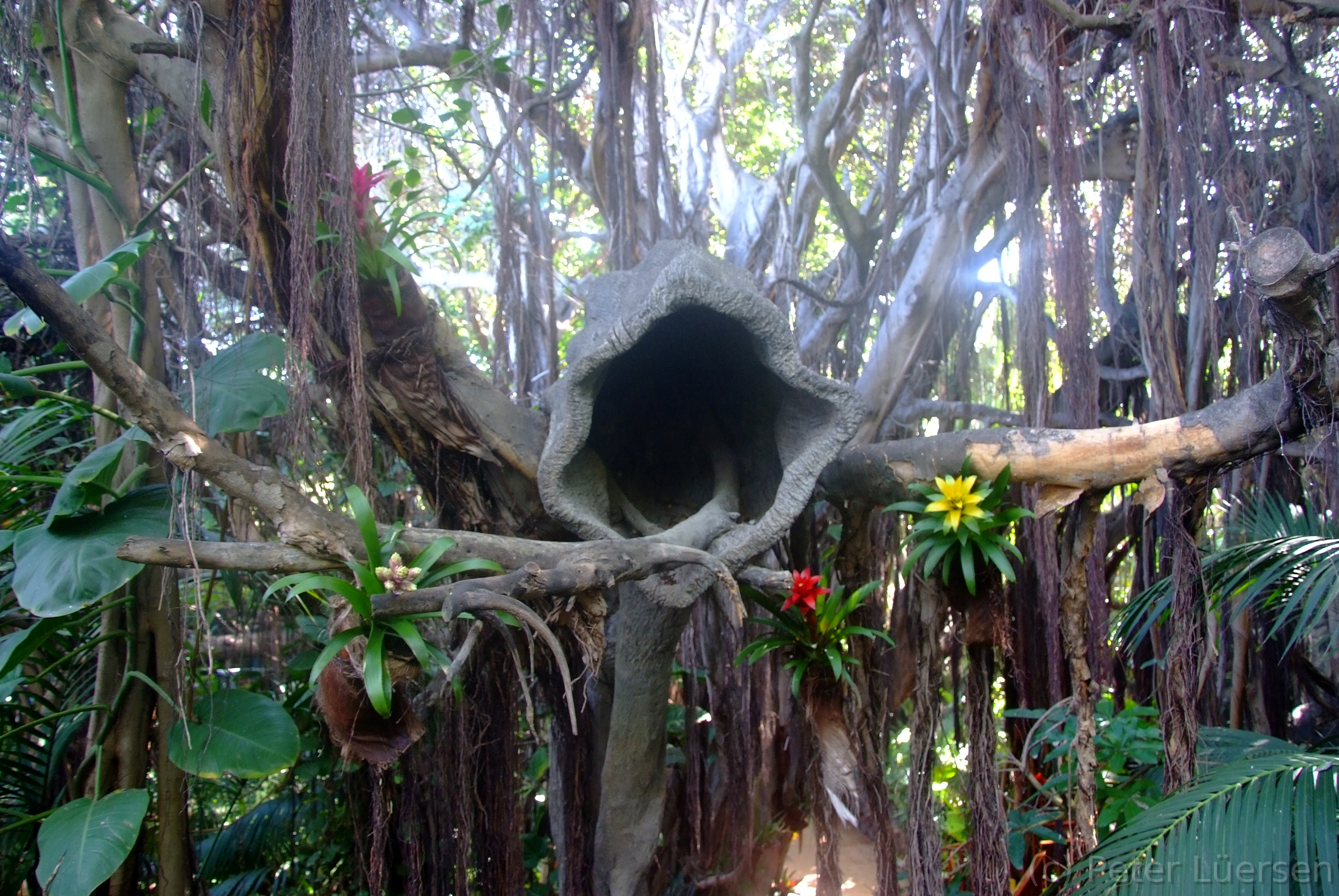 DSCF5733.JPG