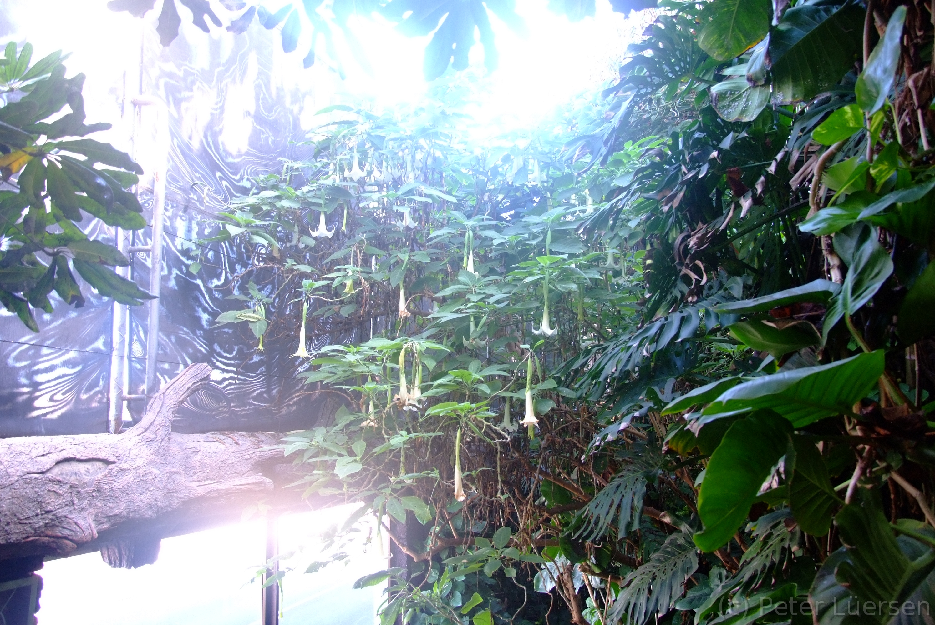 DSCF5736.JPG