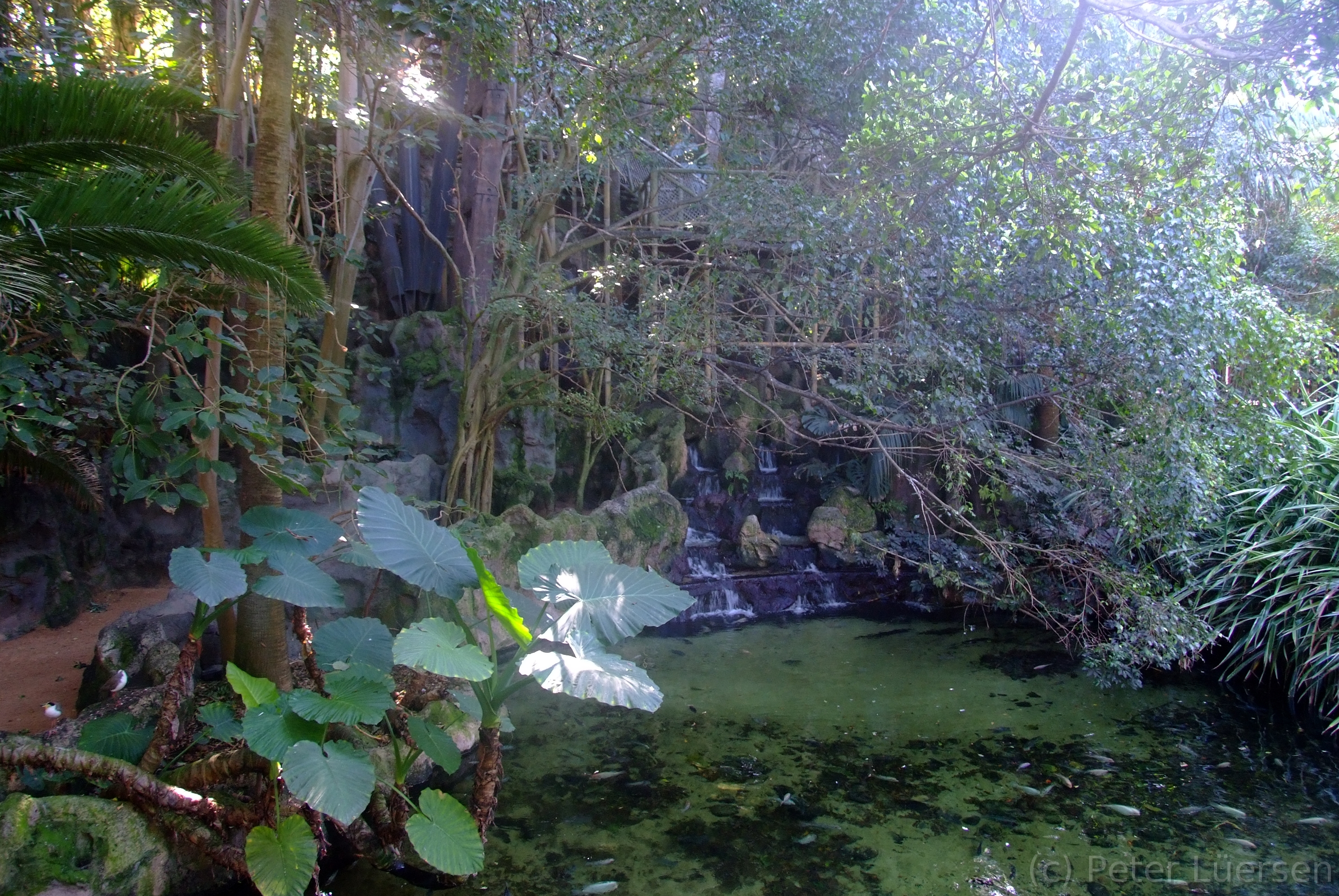 DSCF5743.JPG