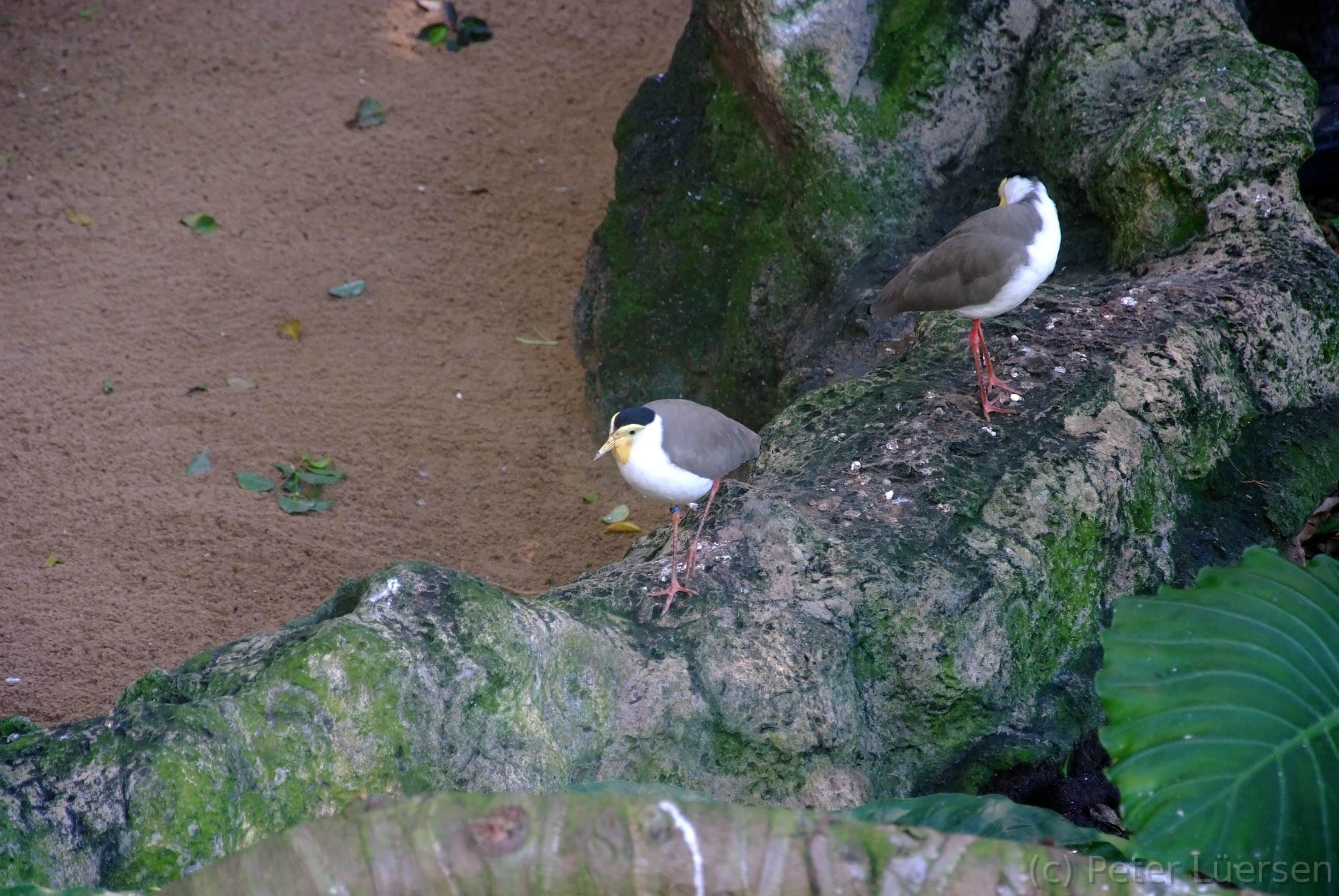 DSCF5745.JPG