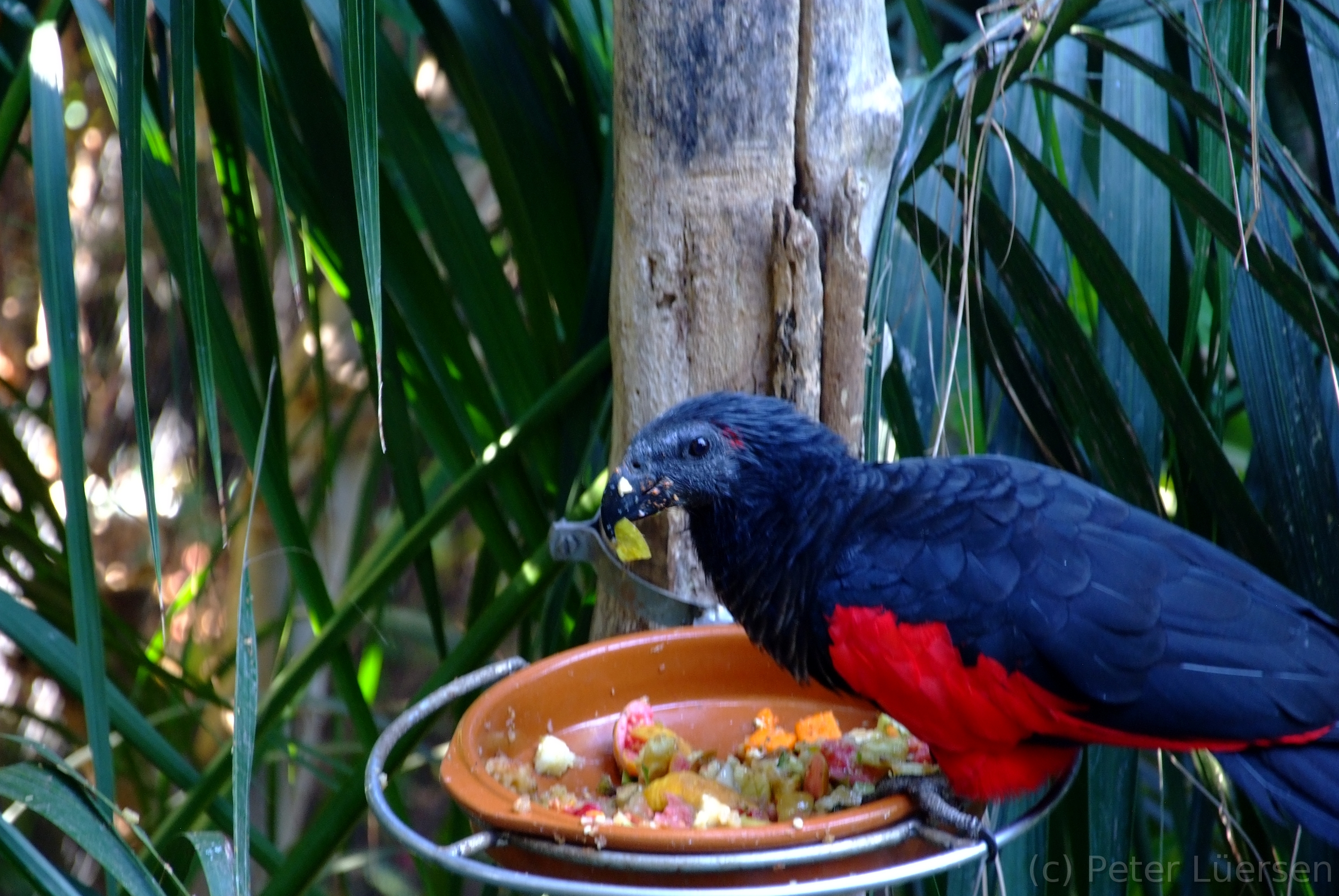 DSCF5766.JPG