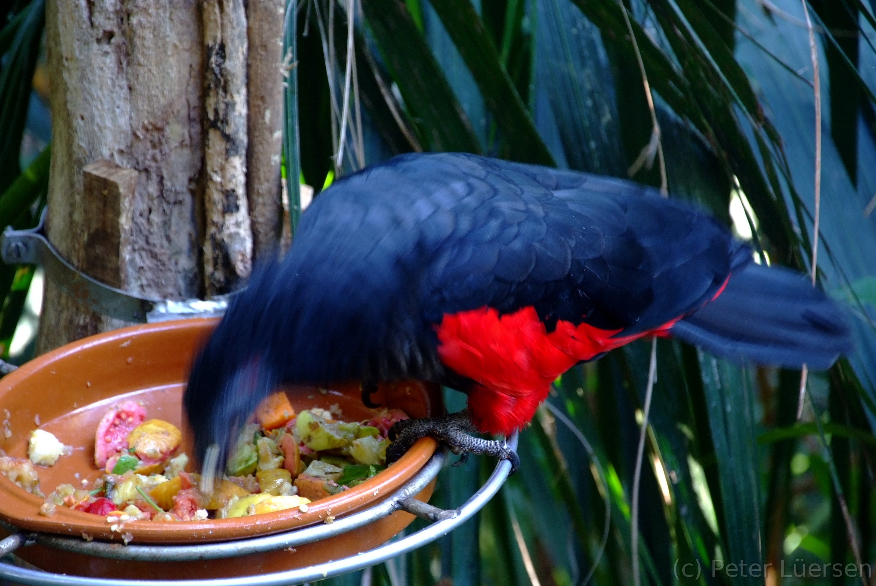DSCF5768.JPG