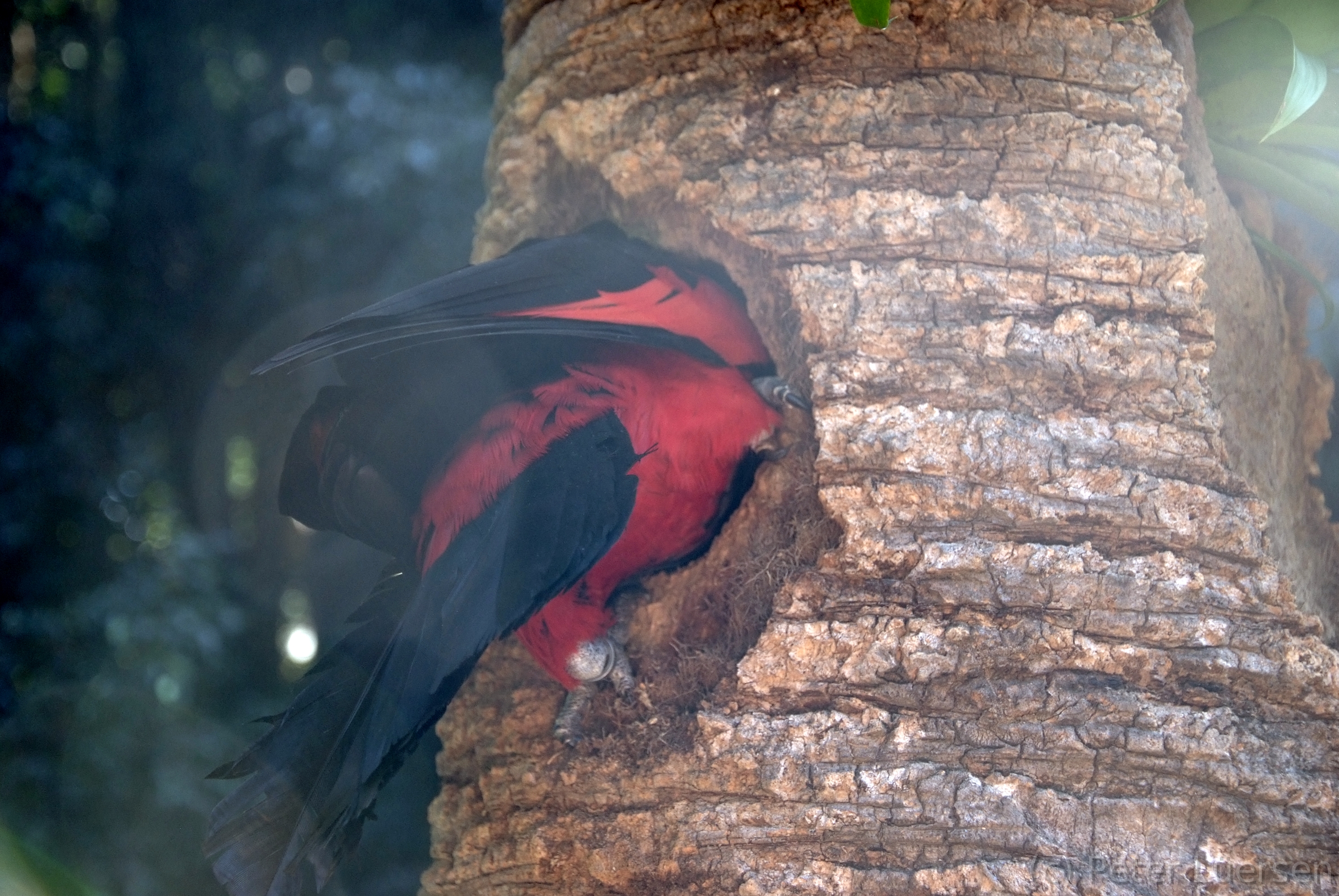 DSCF5780.JPG