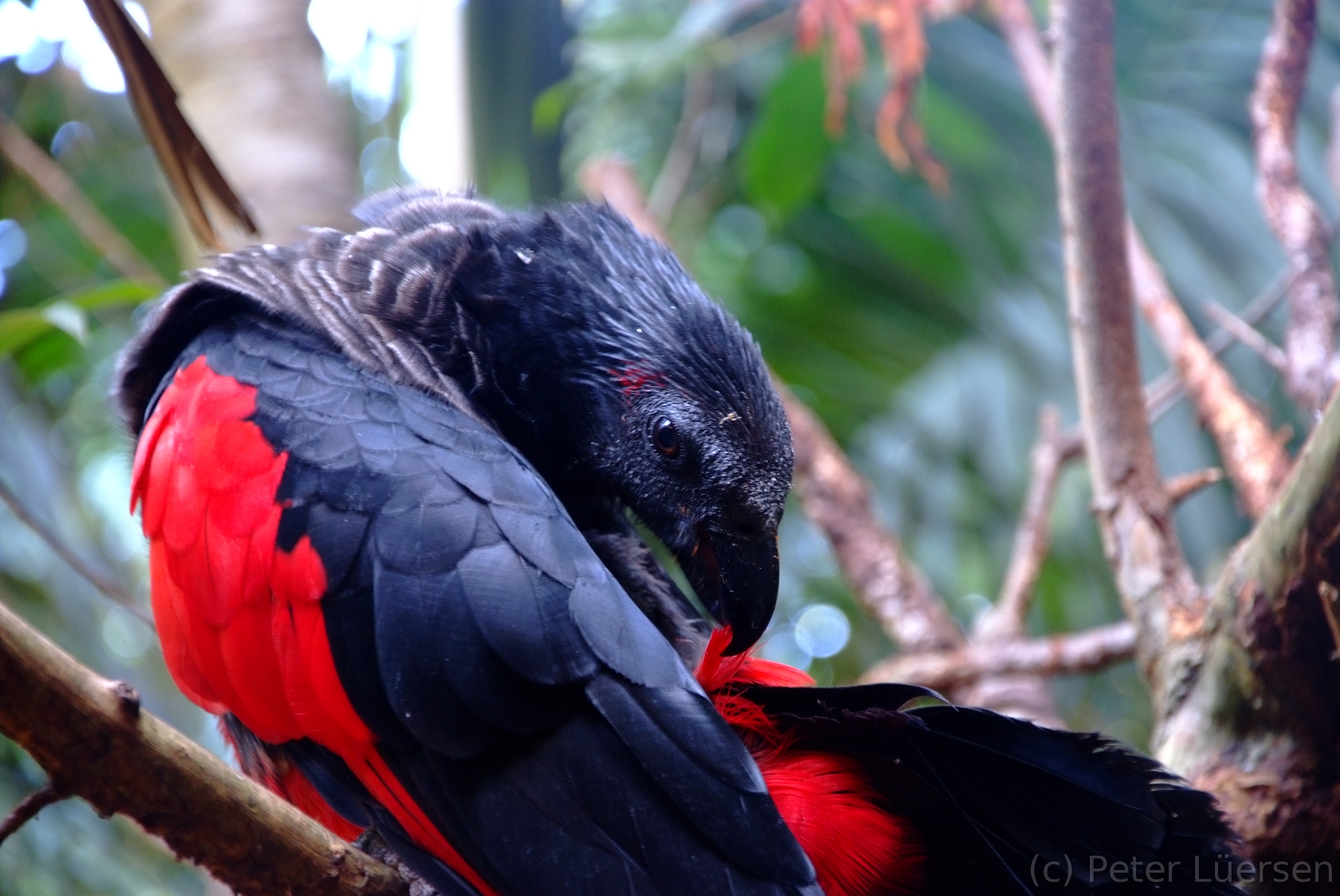 DSCF5783.JPG