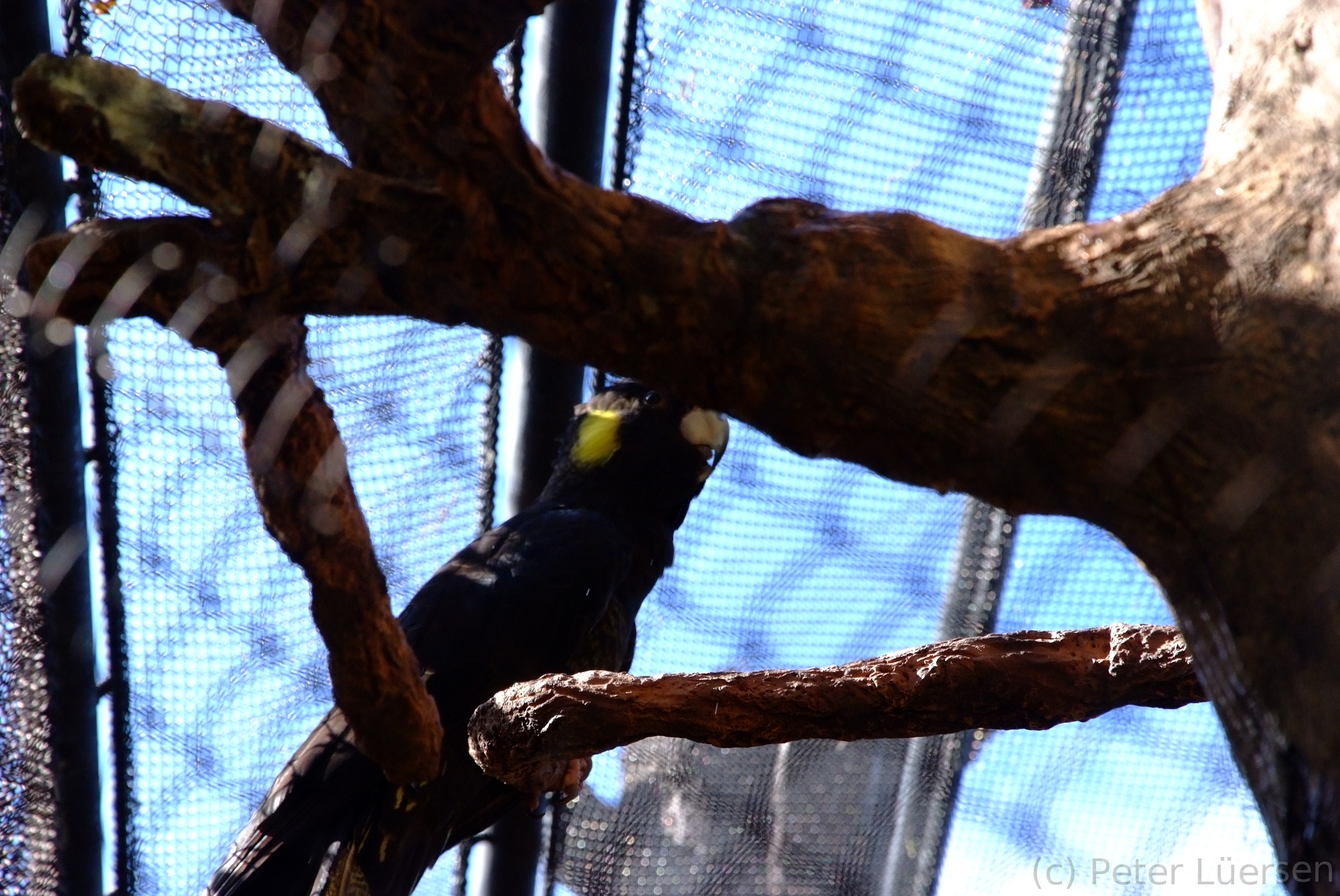 DSCF5794.JPG
